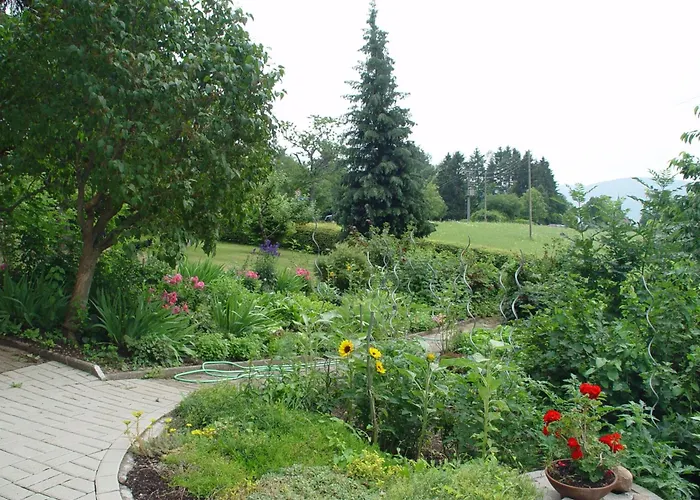 Haus Scherer בית נופש